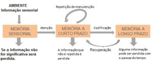 O cérebro e a memória